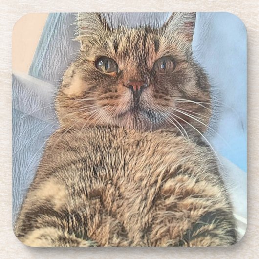 Majestic Tiger Cat Getränkeuntersetzer (Vorderseite)