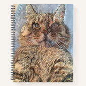 Majestic Tiger Cat Notizblock (Vorderseite)