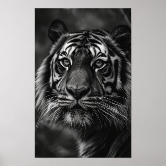 Majestic Tiger Portrait Fine Art Poster (Vorne)