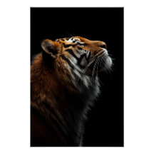 Majestic Tiger Portrait, Strength Royal Confidence