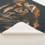 MAJESTIC TIGER SHERPADECKE (3/4)