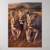 Majestic Trio Roaming durch das große Gras Poster (Vorne)