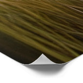 Majestic White Lion Ethereal Art Poster (Ecke)