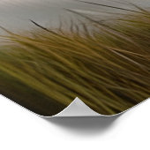 Majestic White Lion Ethereal Art Poster (Ecke)