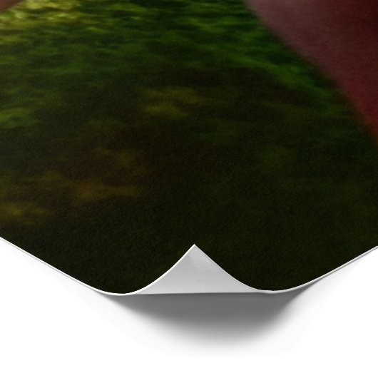 Majestic White Lion Golden Eyes Ethereal Art Poster (Ecke)