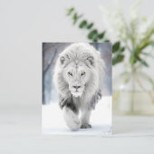 Majestic White Lion im Winter Wonderland Design Postkarte (Stehend Vorderseite)