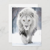 Majestic White Lion im Winter Wonderland Design Postkarte (Vorne/Hinten)
