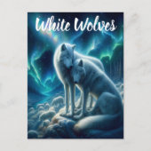 Majestic White Wolves Ruhen Postkarte (Vorderseite)