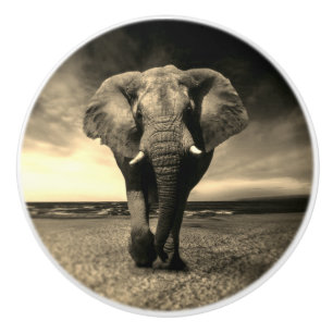 Majestic Wild Bull Elephant in Sepia Keramikknauf