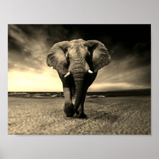 Majestic Wild Bull Elephant in Sepia Poster (Vorne)