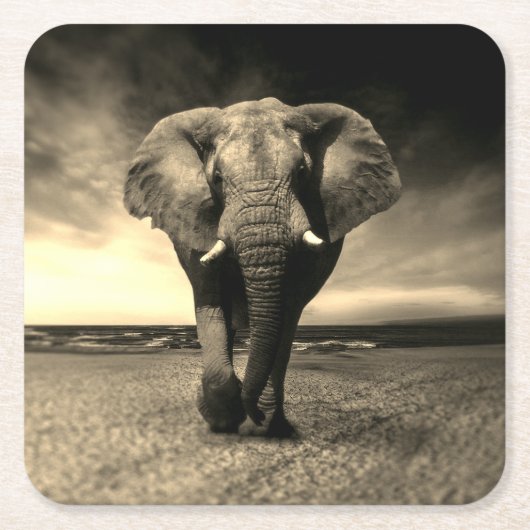 Majestic Wild Bull Elephant in Sepia Rechteckiger Pappuntersetzer (Vorderseite)