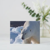Majestic Wildpolar Postkarte (Stehend Vorderseite)