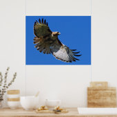 Majestic Wings Gerahmt Print Poster (Küche)