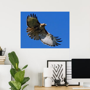 Majestic Wings Gerahmt Print Poster
