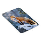 Majestic Winter Fox Fotografie Magnet (Rechte Seite)