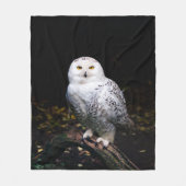 Majestic winter snowy owl fleecedecke (Vorderseite)