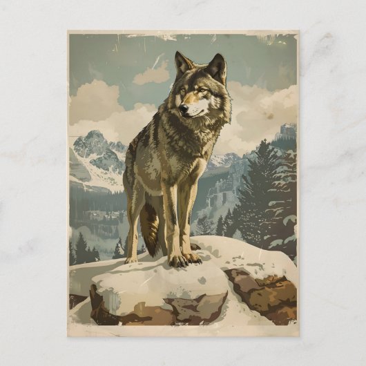 Majestic Wolf auf Snowy Rock Postkarte (Vorderseite)