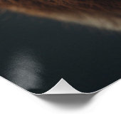 Majestic Wolf Portrait Strength & Royal Confidence Poster (Ecke)