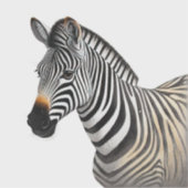 Majestic Zebra Portrait Aufkleber (Vorderseite)