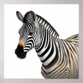 Majestic Zebra Portrait Poster (Vorne)