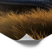 Majestisch bewundernswerte Affen üppig grünes Feld Poster (Ecke)