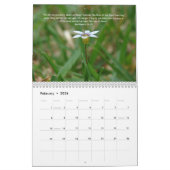 Majesty-2011 Kalender (Feb 2026)