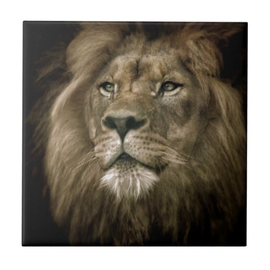 Majesty.jpg Fliese (Vorderseite)
