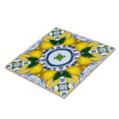 Majolika, mediterrane Fliesen, Fliese (Seite)