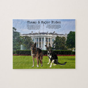 Major & Champ Biden Puzzle