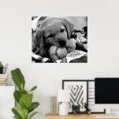 Major League Puppy - Poster & Print (Heimbüro)