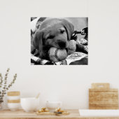Major League Puppy - Poster & Print (Küche)