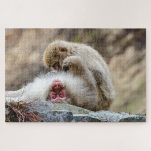 Makaken-Affe, Japan-Affen-Fotografie Puzzle