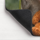 Makaken-Affe mit einem gestopften Orang-Utan Mousepad (Ecke)