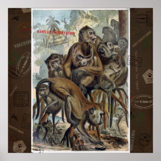 Makaken für verantwortungsvolle Reisen Poster (Vorne)