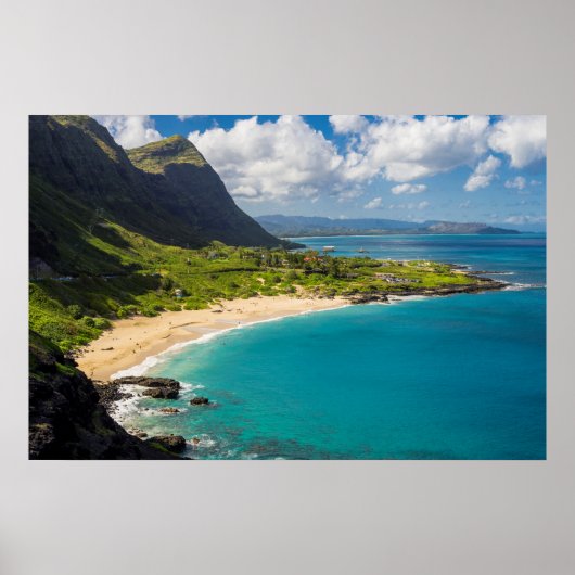 Makapuu Beach Coastline Poster (Vorne)