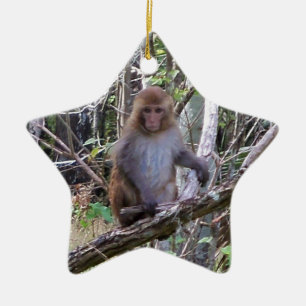 Makaque-Affe Keramik Ornament