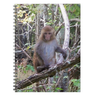 Makaque-Affe Notizblock
