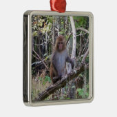Makaque-Affe Silbernes Ornament (Rechts)