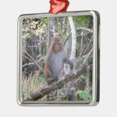 Makaque-Affe Silbernes Ornament (Links)