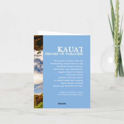 Makauwahi Cave Palm Trees, Kauai, Hawaii (Rückseite)