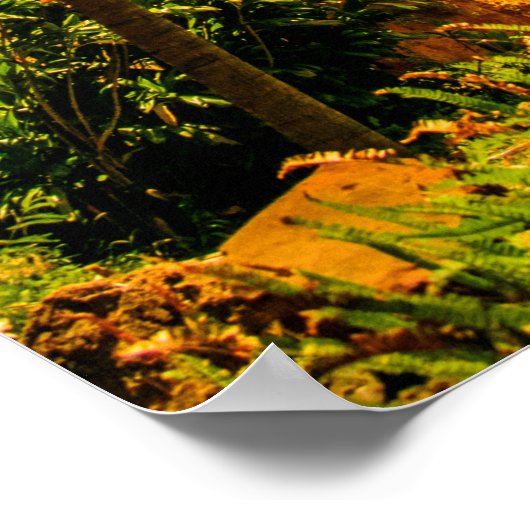 Makauwahi Cave Palm Trees, Kauai, Hawaii Poster (Ecke)