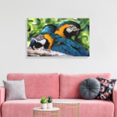 Makaws Leinwanddruck (Insitu (Wohnzimmer))