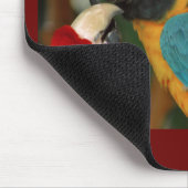 Makaws Mousepad (Ecke)