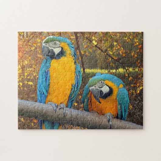 Makaws - niedlicher Papagei Puzzle (Horizontal)