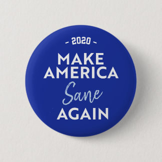 MAKE AMERICA SANE WIEDER - JOE BIDEN 2020 BUTTON