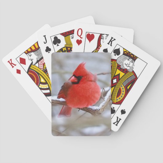 Make_Cardinal_Carten Spielkarten (Rückseite)