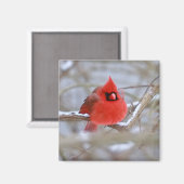 Make_Cardinal_Magnet Magnet (Vorderseite/Rückseite)