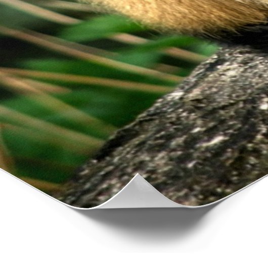 "Make New Friends" Poster (Ecke)