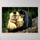 "Make New Friends" Poster (Vorne)