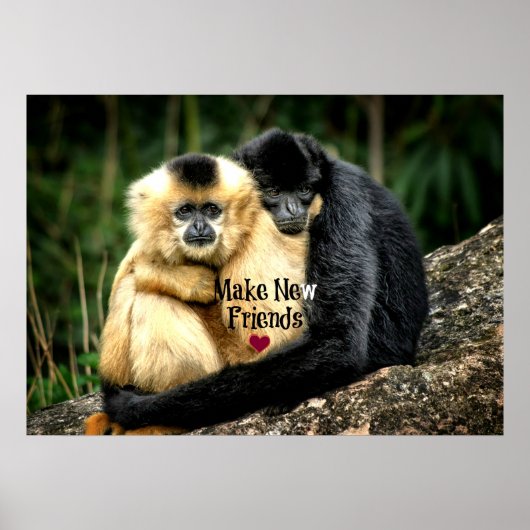 "Make New Friends" Poster (Vorne)